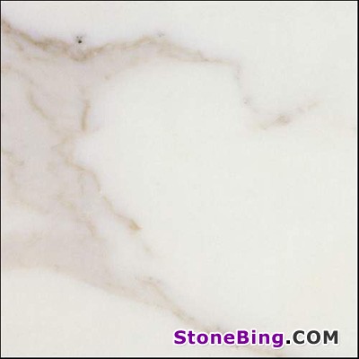 Calacatta Gold Marble Tile