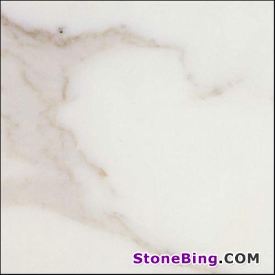 Calacatta Gold Marble Tile