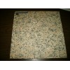 Rosa Porina Flamed Granite Tile