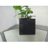 Quartz Stone supplier
