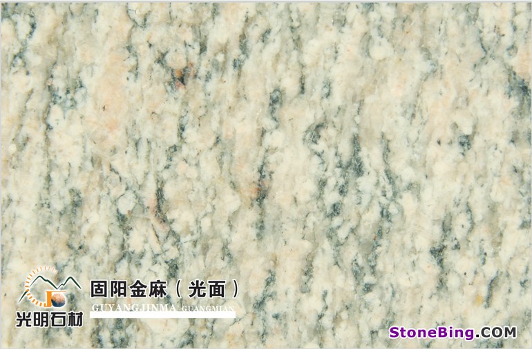 Guyan Vilga (POLISHED) Granite Tile