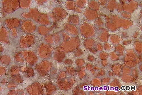 Dandelion Granite Tile