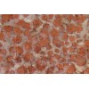 Dandelion Granite Tile