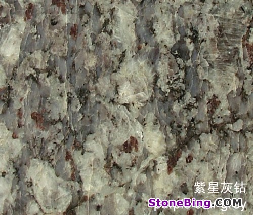 Purple Star Grey Granite Tile