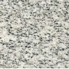 Grey  Grain