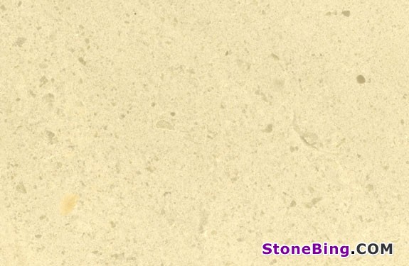 Beige Fossil Marble Tile