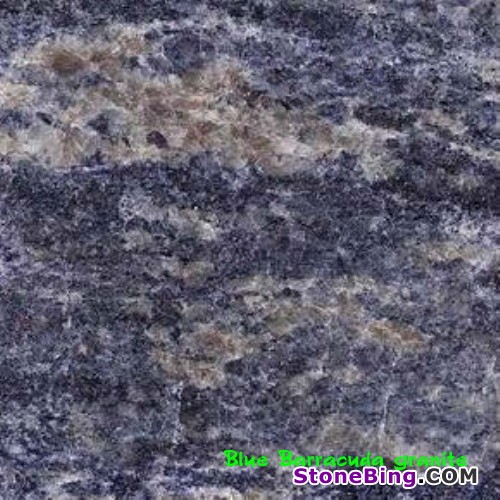 Blue Barracuda Granite Tile