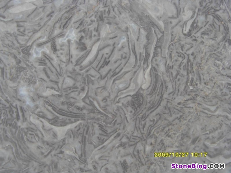 Nightblooming Cereus Marble