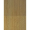 Gold Satin Sandstone