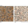 Hight quality of granite G562
