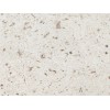 Portugal-Beige