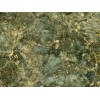 Peacock Green Granite