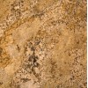 Arandis Light Granite