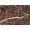 Dark Oriental Classico Marble
