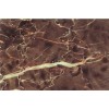 Dark Oriental Classico Marble