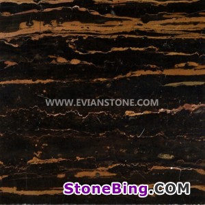 Dragon Emperador Marble CM004