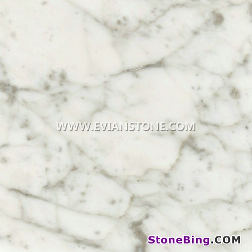 Venata White Marble