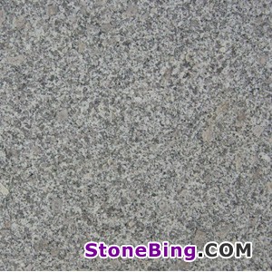 G341 Granite Tile
