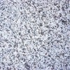 G360 Granite Tile Polished