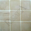 Teakwood Cloudy Sandstone Tile