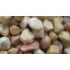 Yellow Washed Granite Pebbles