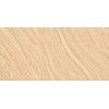 Sand Stone Tiles Rustic Tile SPS60806