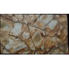 Stone Wood Quartzite Slab