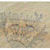 Mint Fossile Sandstone Tile
