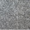 Platinum White Granite Tile