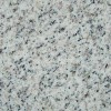 G365 Granite Tile