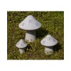 Basalt Mushrooms Stone