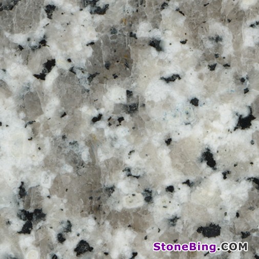 Bianco Luna Pearl Granite Slab