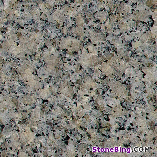 Bohus Grey Granite Slab