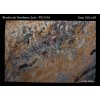Breche de Vendome Marble Slab