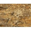 Juparana Golden Sun Granite