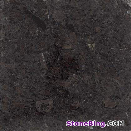 Brown Labrador Granite Tile