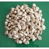 Pink Pebbles TSPS-001