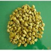 Yellow Pebbles TSPS-005