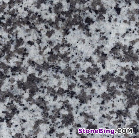 G1939 Canton White Granite