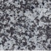 G1939 Canton White Granite