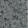 G1962 Tibetan Blue Granite