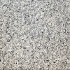 Bianco Catalina Granite Tile