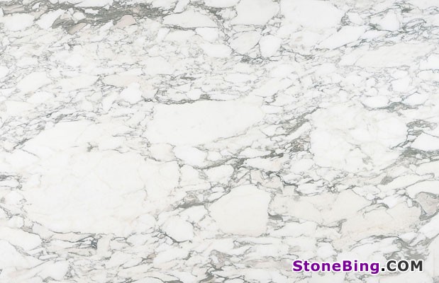 Arabescato Vagli Marble Tile