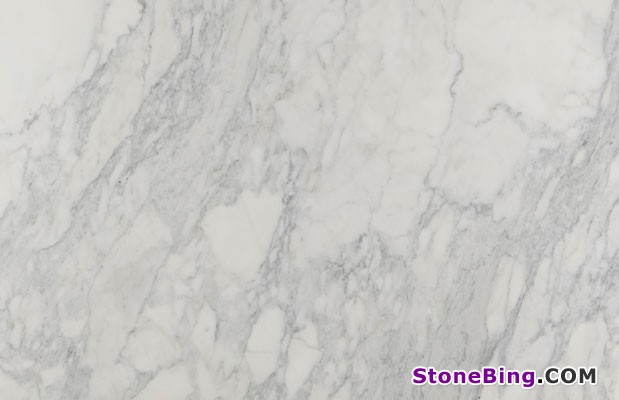 Calacatta Belgia Marble Tile