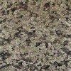 Royal Green Granite Tile