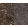 Deoli Green Slate Tile