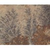 Mint Fossil Sandstone Tile