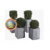 Blue Limestone Flower Pot