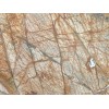 Rain Forest Brown