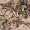 Giallo Fiorito Granite Tile